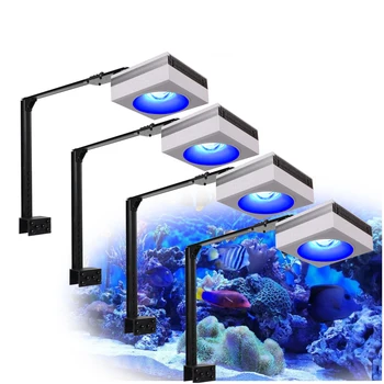 PopBloom RS90 Морская Аквариумная лампа для Кораллов, Программируемая Светодиодная лампа для морского аквариума 180-240 см 72 