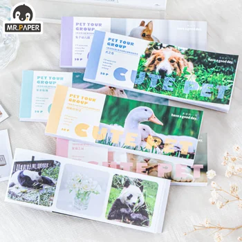 Наклейки Mr.Paper Animal Washi, Панда, кошки, собаки, ежедневник для путешествий, сделай сам, коллаж с богатым рисунком, милые наклейки, корейские канцелярские принадлежности
